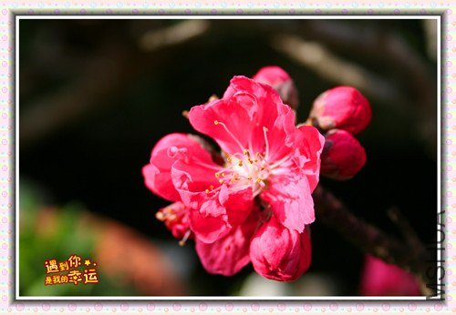 ��Ƭ 009_����.jpg