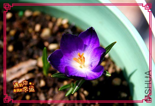 ��Ƭ 041_����.jpg