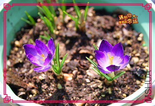 ��Ƭ 038_����.jpg