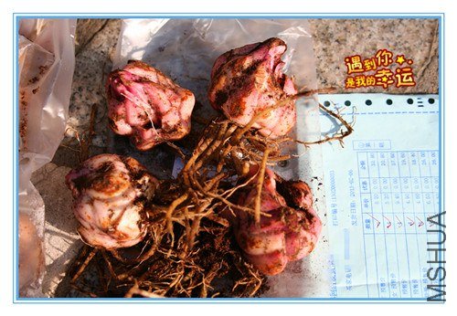 ��Ƭ 003_����.jpg