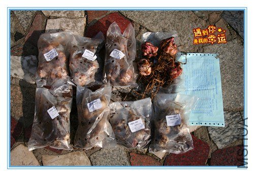 ��Ƭ 001_����.jpg