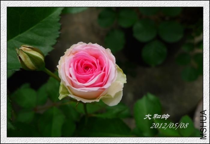 �����ڻ����ҵ���
