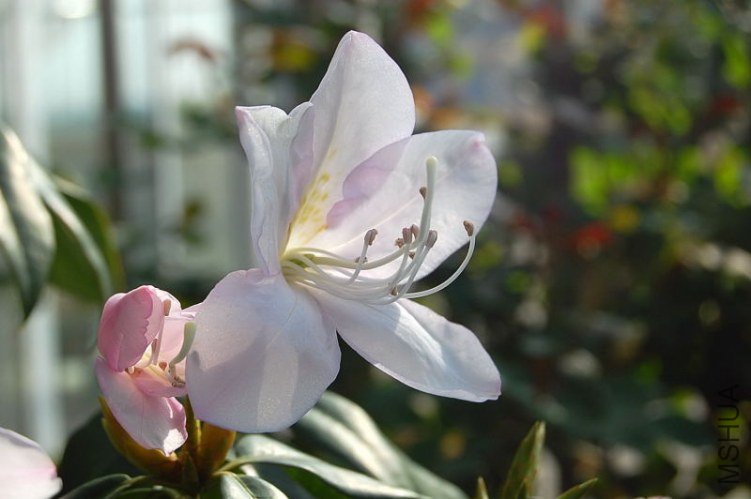 DSC_01000100.JPG