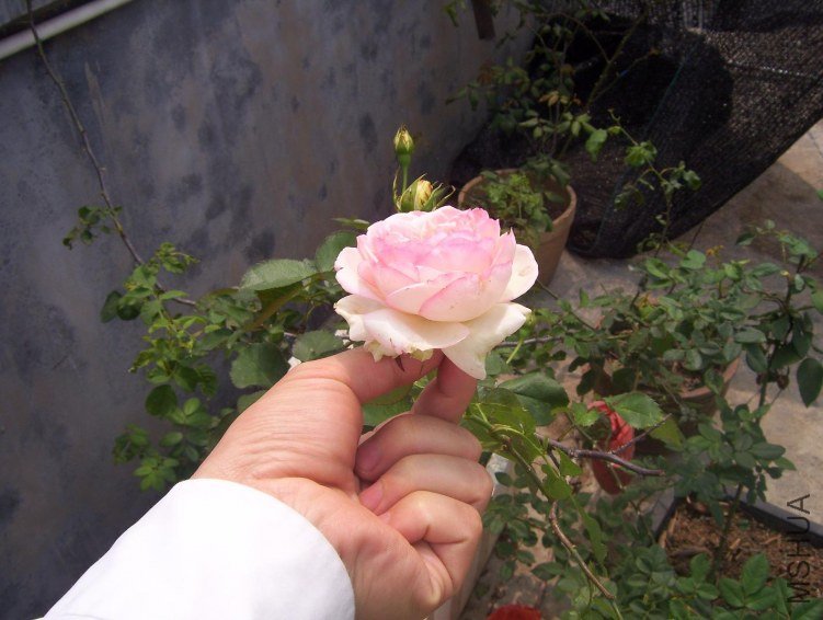 100_0075.JPG