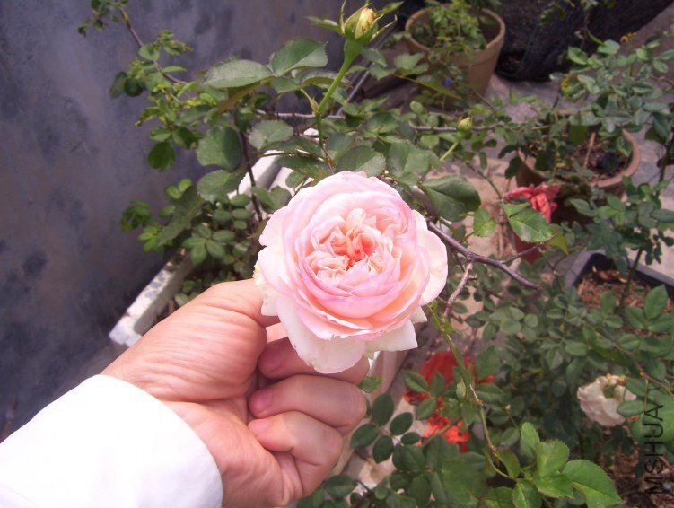 100_0076.JPG