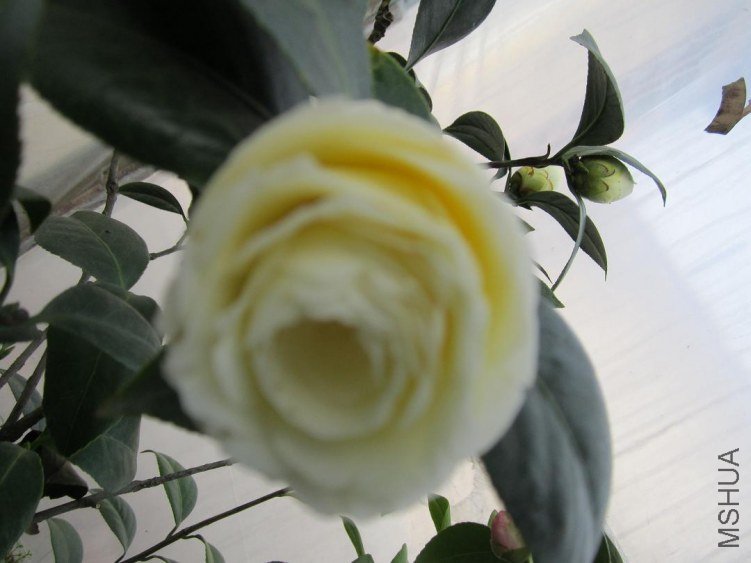 IMG_5468.jpg