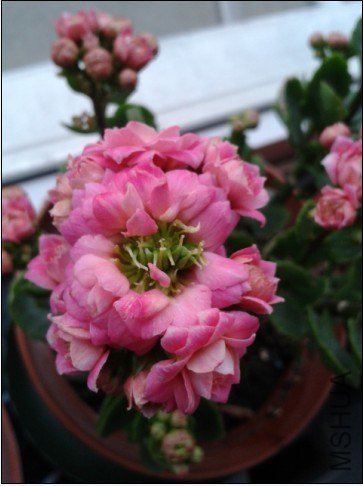 ��۷Ʒ� 3-23.jpg