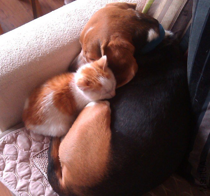 ϲ�������ů�Ļ���