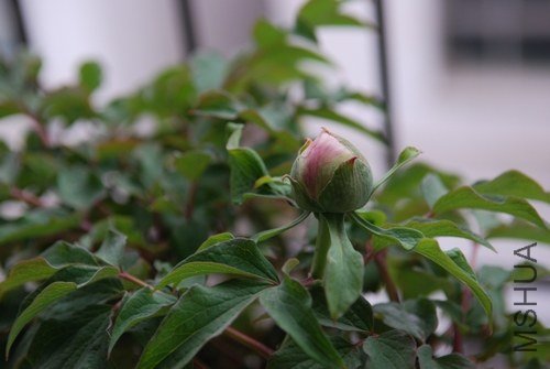 20130323001.jpg
