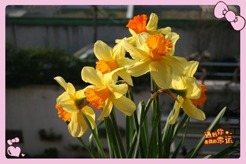 ��Ƭ 016_����.jpg