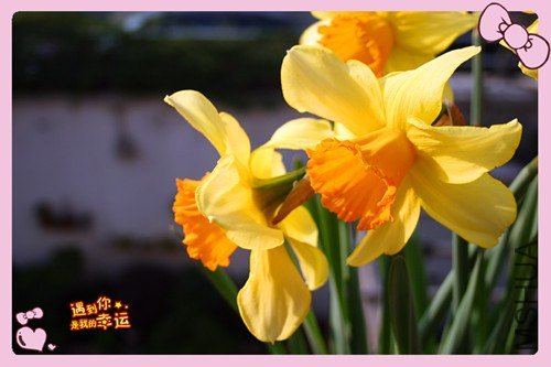 ��Ƭ 019_����.jpg