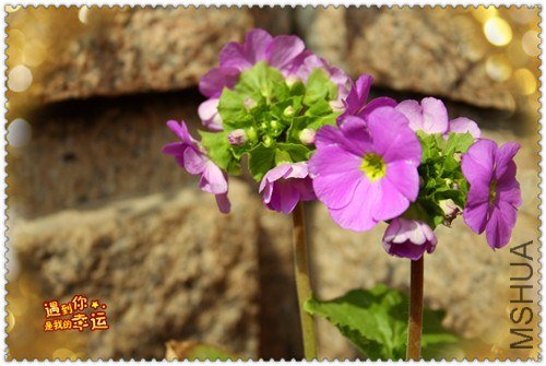 ��Ƭ 032_����.jpg