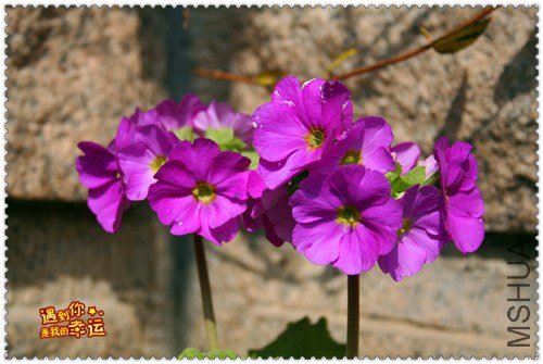 ��Ƭ 033_����.jpg