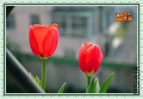 ��Ƭ 153_����.jpg