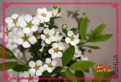 ��Ƭ 183_����.jpg