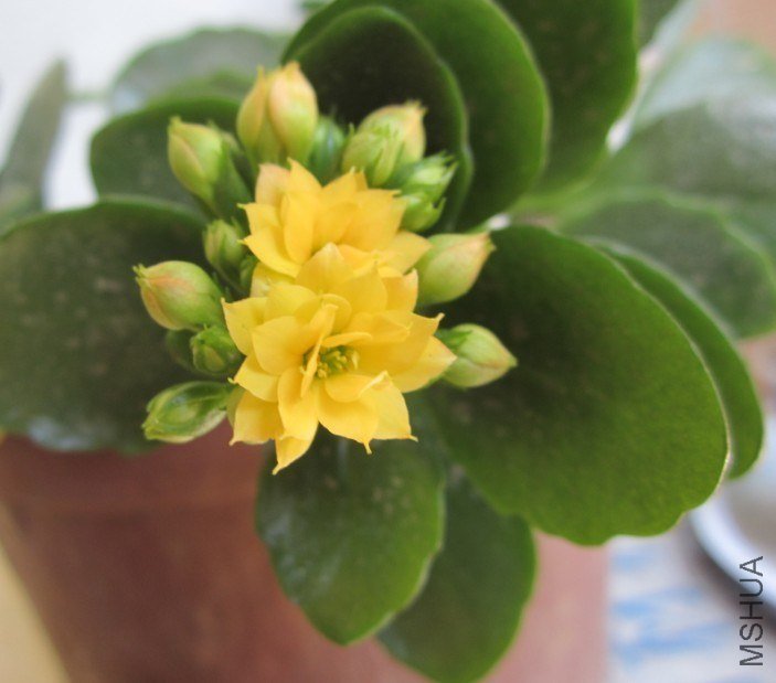20130305C.jpg