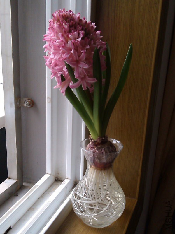 IMAG0054.jpg