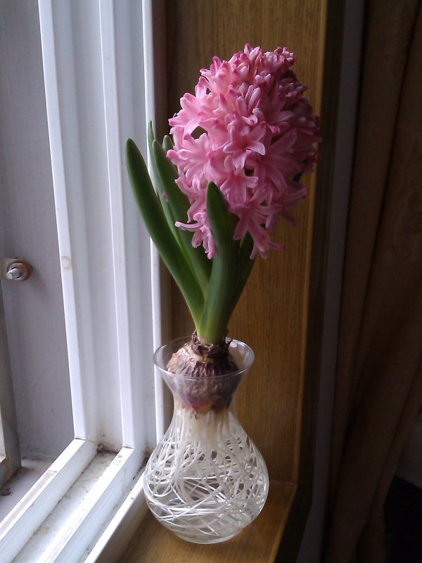 IMAG0055.jpg