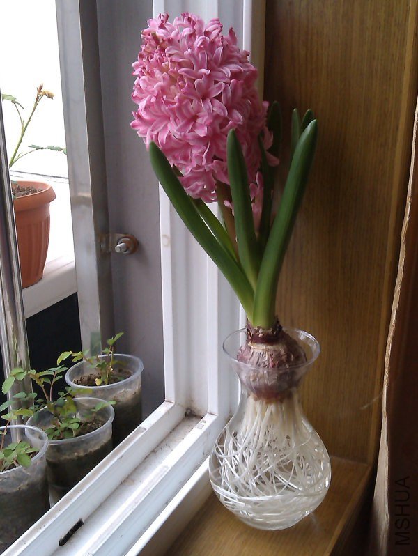 IMAG0074.jpg