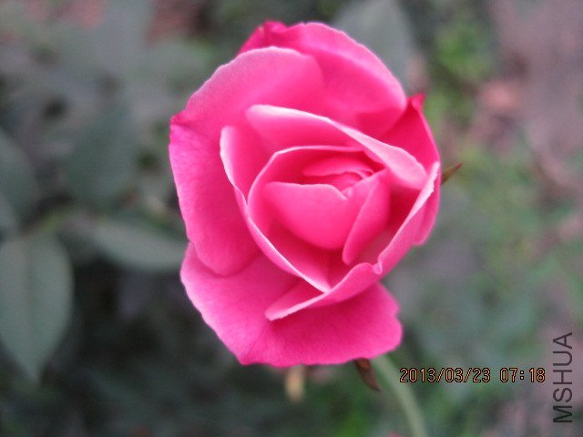 IMG_3886.jpg