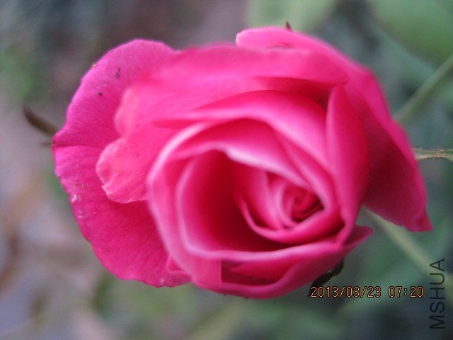 IMG_3891.jpg