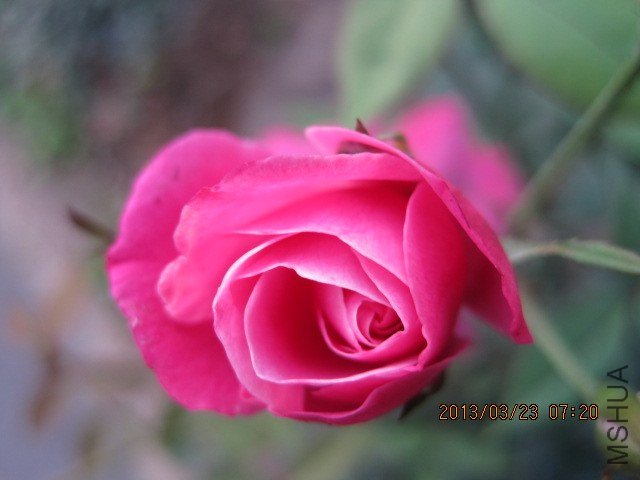 IMG_3892.jpg