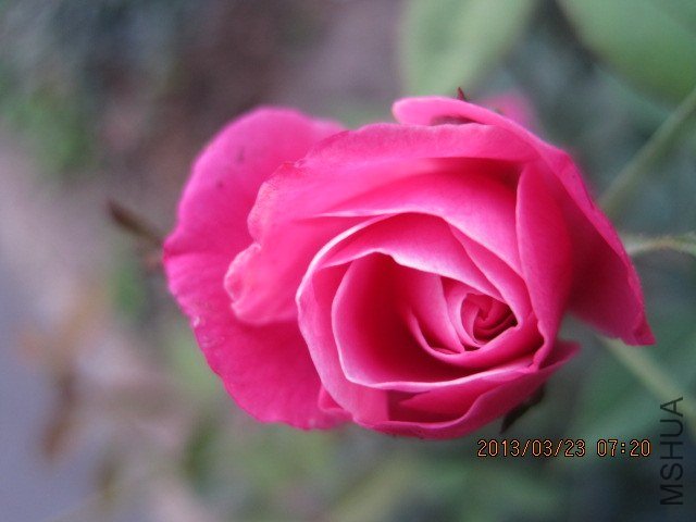 IMG_3893.jpg