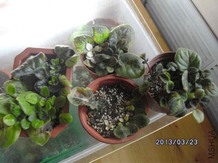 DSCK1271.JPG