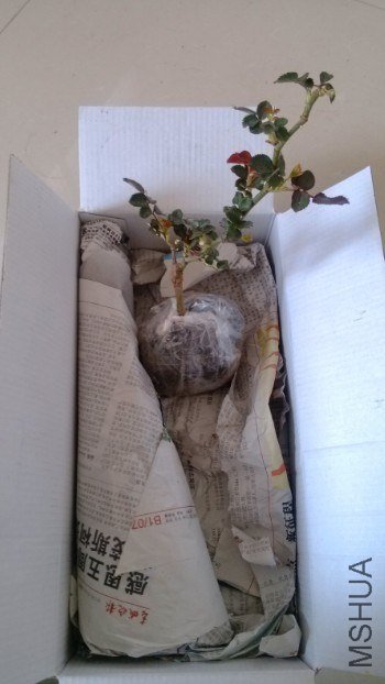 20130323234510.jpg