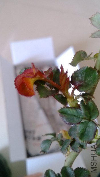20130323234539.jpg
