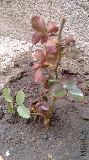 20130323234627.jpg