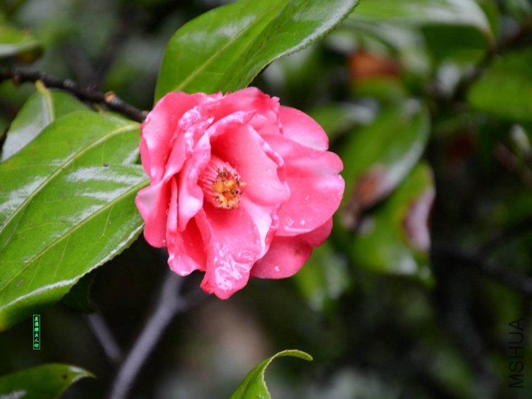 ��ǧ��20130323003.jpg