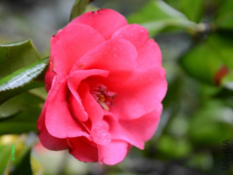 ��ǧ��20130323004.jpg