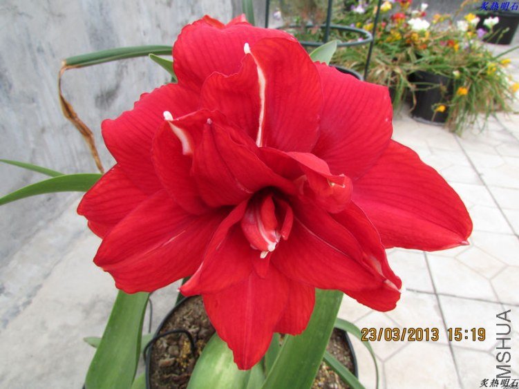 IMG_4072_nEO_IMG.jpg