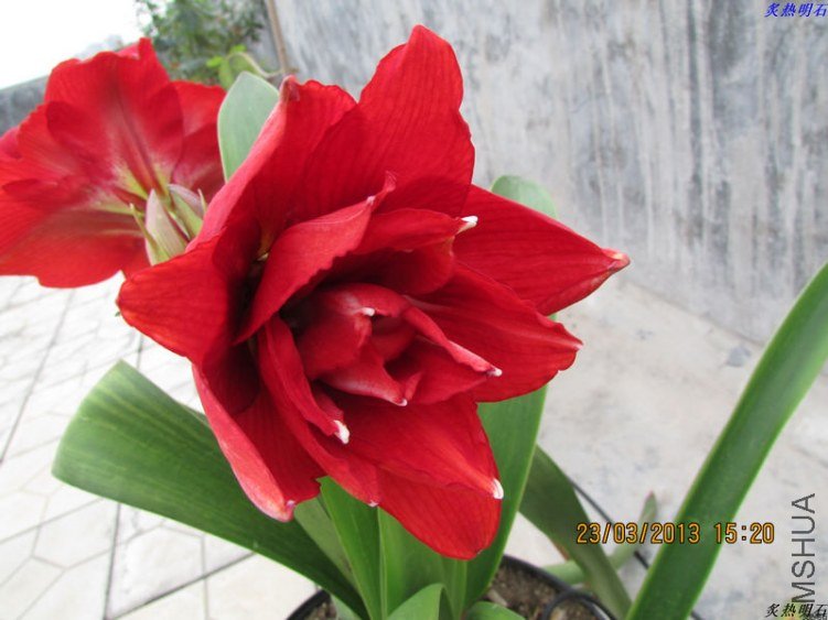 IMG_4075_nEO_IMG.jpg