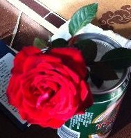 ȥ����3����û�ڼҲ�����ˣ��ڵ�ʡһ�����ӣ����컹��ǿ����Щ�����������ߡ�