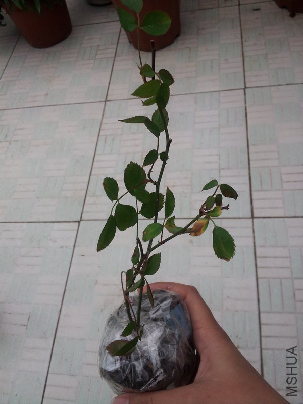 �м��������е�ڵļ���
