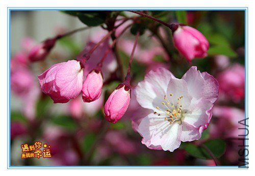 ��Ƭ 010_����.jpg