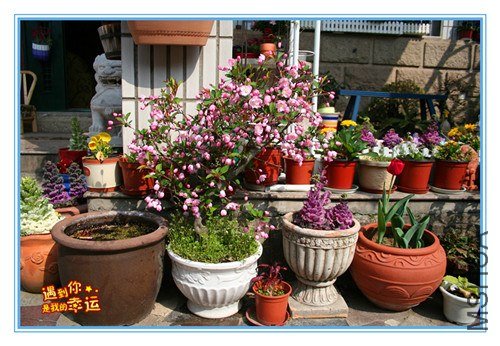 ��Ƭ 002_����.jpg