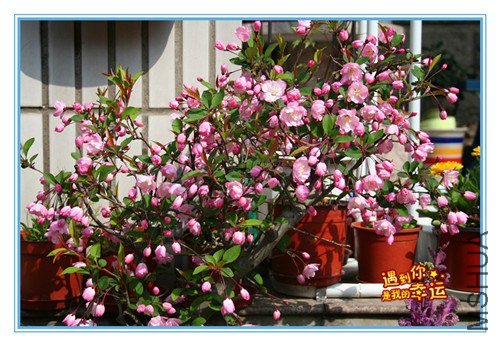 ��Ƭ 003_����.jpg