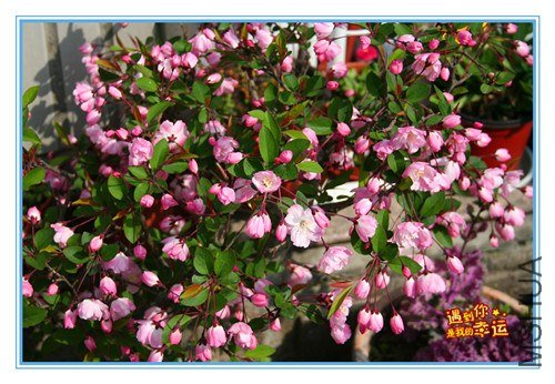 ��Ƭ 005_����.jpg