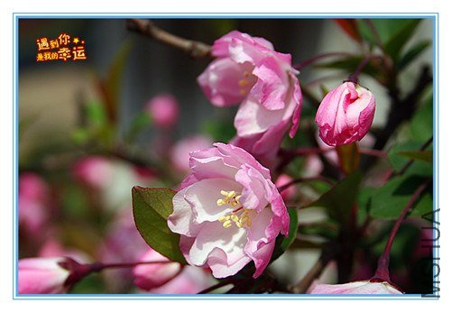 ��Ƭ 006_����.jpg