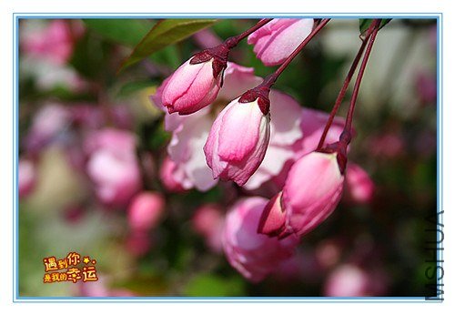 ��Ƭ 007_����.jpg