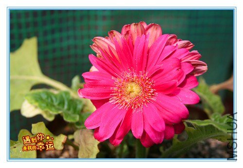 ��Ƭ 057_����.jpg