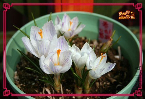 ��Ƭ 050_����.jpg