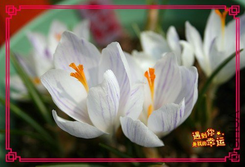 ��Ƭ 053_����.jpg