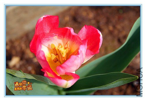 ��Ƭ 066_����.jpg