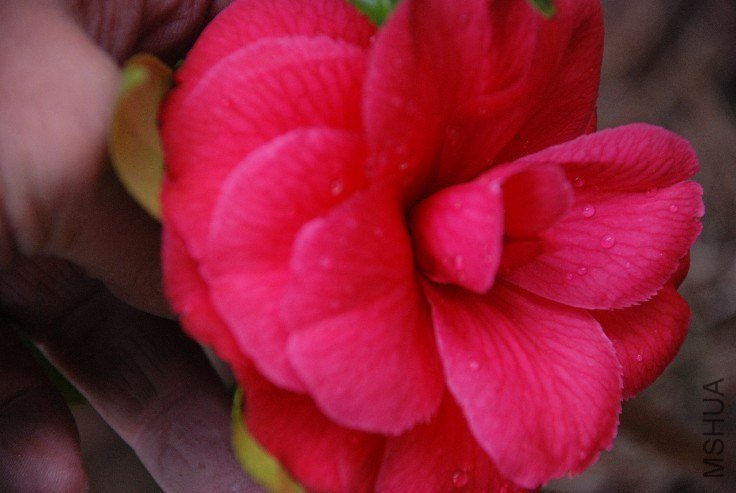 DSC_0047.JPG