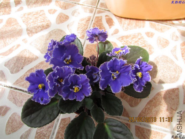 IMG_2769_nEO_IMG.jpg