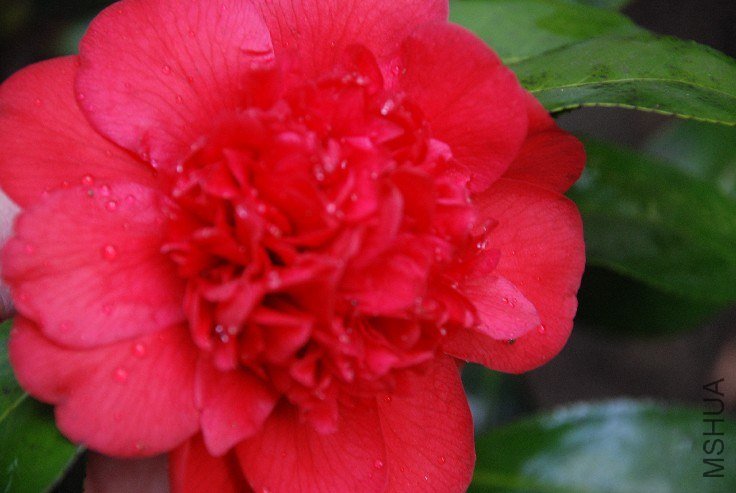 DSC_0067.JPG
